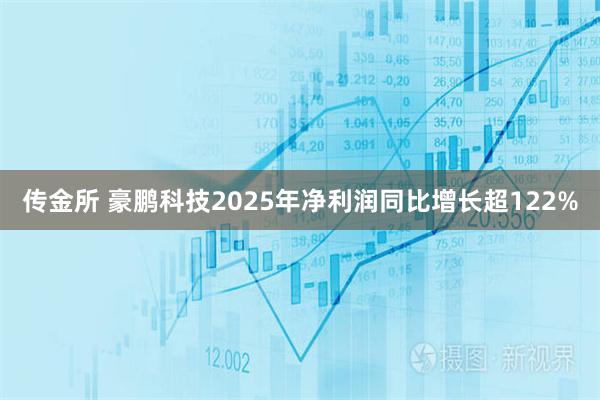 传金所 豪鹏科技2025年净利润同比增长超122%